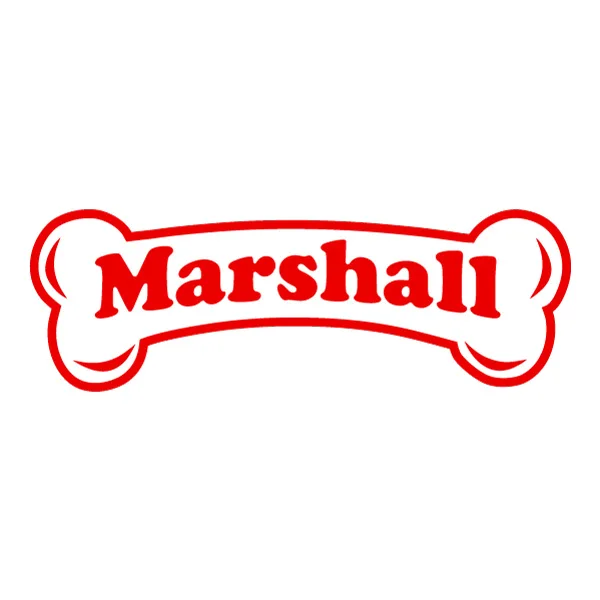 Marshall PAW Patrol Bone Name Tag Flat Design SVG PNG Clipart Marshall PAW Patrol Bone Name Tag Flat Design SVG PNG Clipart - Free Cartoon Vector Illustration PNG SVG AI EPS Download