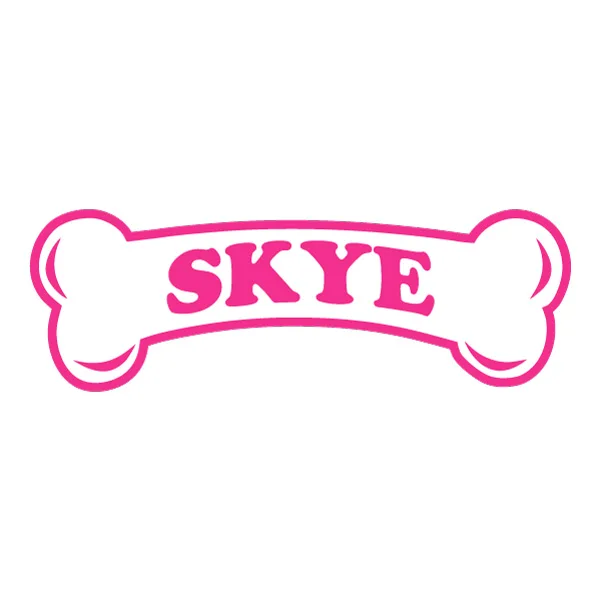 Skye PAW Patrol Pink Dog Bone Name Logo SVG PNG Clipart Skye PAW Patrol Pink Dog Bone Name Logo SVG PNG Clipart - Free Cartoon Vector Illustration PNG SVG AI EPS Download