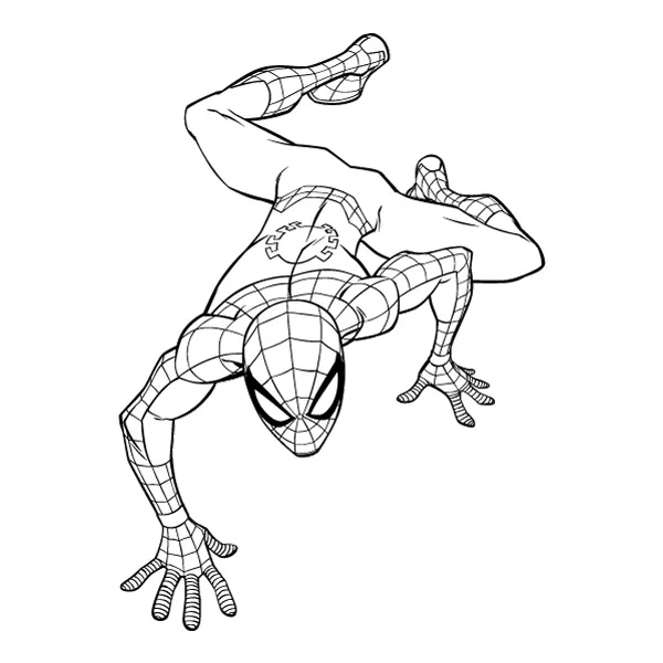 Wall-Crawling Spider-Man Line Art Full Body SVG PNG Clipart Wall-Crawling Spider-Man Line Art Full Body SVG PNG Clipart - Premium Cartoon Vector Illustration PNG SVG AI EPS Download